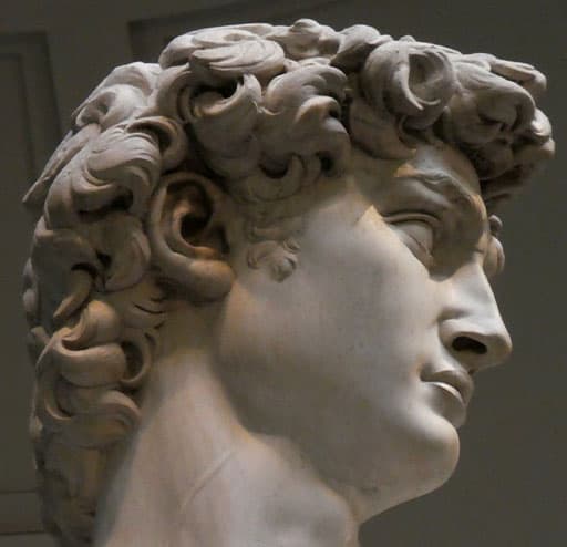 a picture of statue of david michelangelo